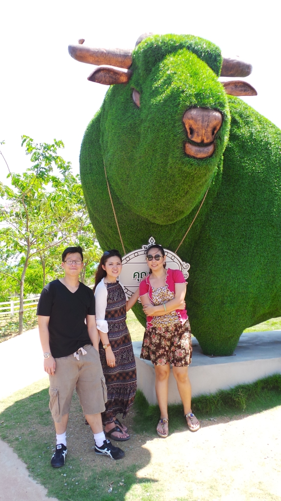 กระทิงน้อยหน้างาน Flora Park