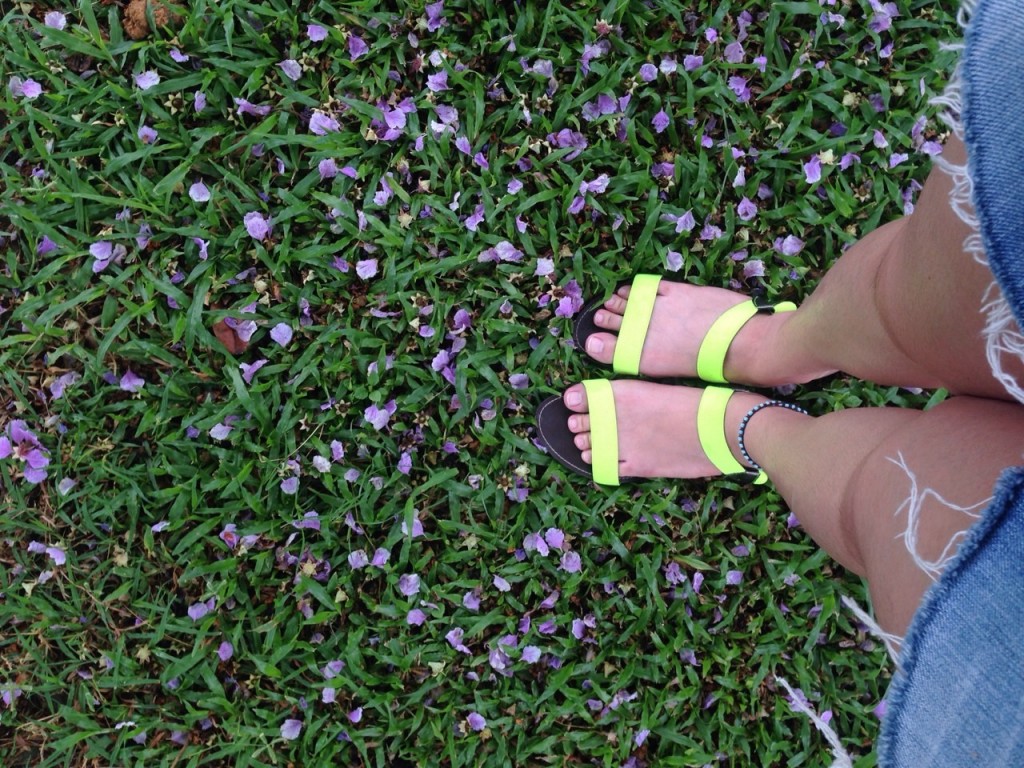 ดอกไม้สีม่วงบริเวณพื้นที่สีเขียว
