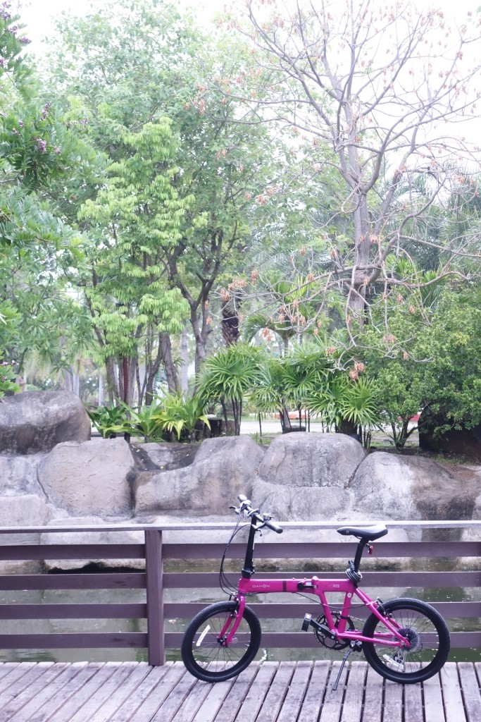 มุมหนึ่ง ณ รีสอร์ท พาจักรยานไปเที่ยวด้วย ก็เลยขอถ่ายภาพสวย ๆ สักภาพ